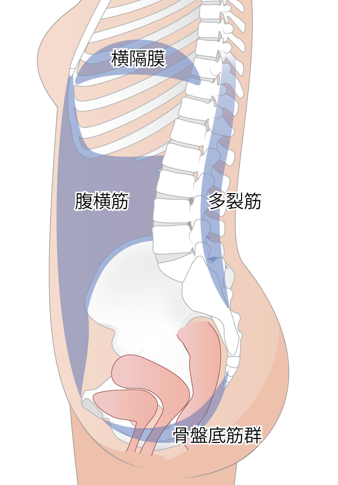 インナーユニット図